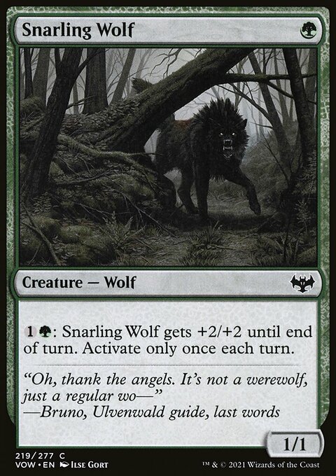 Snarling Wolf